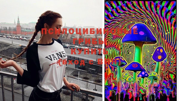 каннабис Баксан