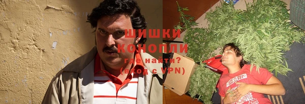 трава Белокуриха